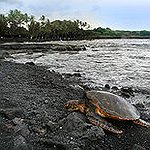 BucketList + Visit A Black Sand Beach = ✓