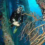 BucketList + Go Deep Sea Diving. = ✓