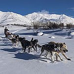 BucketList + Go Huskie Sledding And See ... = ✓