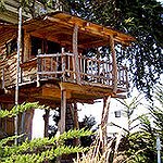 BucketList + Stay In A Treehouse = ✓