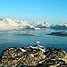 BucketList + Visit Greenland And Iceland = ✓