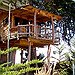 BucketList + Stay At A Treehouse Resort = ✓