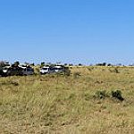 BucketList + Go On Safari = ✓