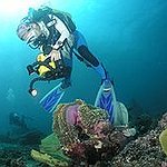 BucketList + Go Scuba Diving = ✓