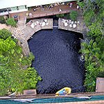 BucketList + Go Bungee Jumping In New ... = ✓
