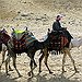 BucketList + Camel Ride In The Dessert = ✓