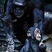 BucketList + Talk To A Chimpanzee That ... = ✓