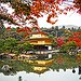 BucketList + Go To Japan = ✓