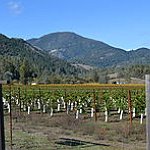 BucketList + Napa Valley, Ca = ✓