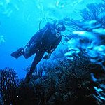 BucketList + Scuba Dive = ✓