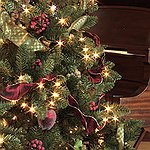 BucketList + Pick Out A Christmas Tree ... = ✓