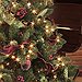 BucketList + Pick Out A Christmas Tree ... = ✓