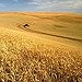 BucketList + Lost In Fields Stretching Endlessly ... = ✓