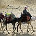 BucketList + Ride A Camel Across The ... = ✓