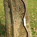 BucketList + Learn Archery = ✓