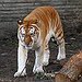 BucketList + Visit Noah's Ark Animal Sanctuary ... = ✓