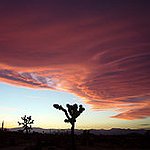 BucketList + Do A Rise Mojave Desert ... = ✓