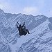 BucketList + Experience Paragliding = ✓