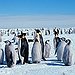 BucketList + See Emperor Penguins In The ... = ✓
