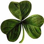 BucketList + Spend St. Patricks Day In ... = ✓