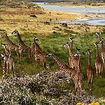 BucketList + Go To Tanzania = ✓