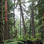 BucketList + Visit Haida Gwaii = ✓
