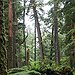 BucketList + Visit Haida Gwaii = ✓