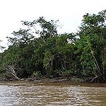 BucketList + Canoe Down The Amazon River = ✓