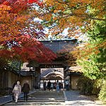 BucketList + Learn Japanese = ✓