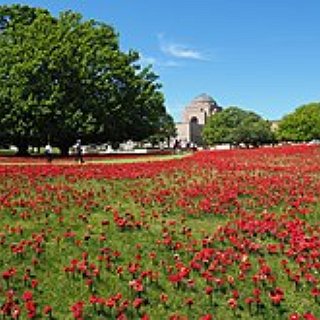 BucketList + Find Out Where My Ancestor Is Buried