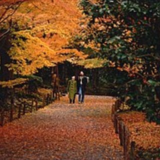 BucketList + Experience Leaf-Peeping Season In Nova Scotia