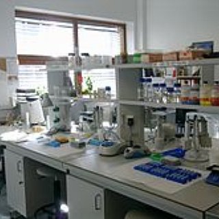 BucketList + Work In A Laboratory 