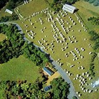 BucketList + Visit Carnac Stones - Lieu-Dit Le Ménec, 56340 Carnac, France