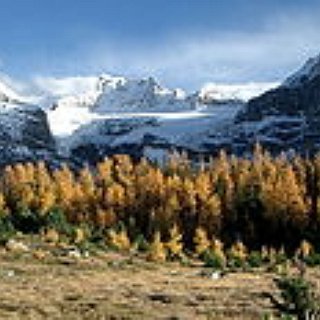 BucketList + Trans-Rockies Adventure Run