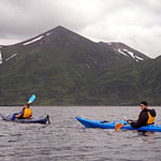 BucketList + Kayak With Whales