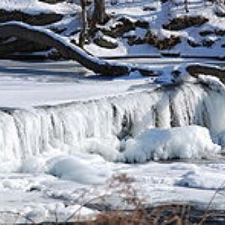 BucketList + Take The Polar Bear Plunge In A Cold Country
