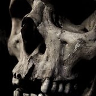 BucketList + Feel The Sweet Embrace Of Death