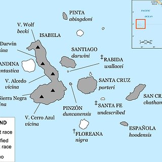 BucketList + Go To The Galapagos Islands