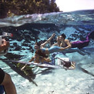 BucketList + Do Underwater Photography