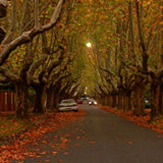 BucketList +  Take A Picture Of Autumn