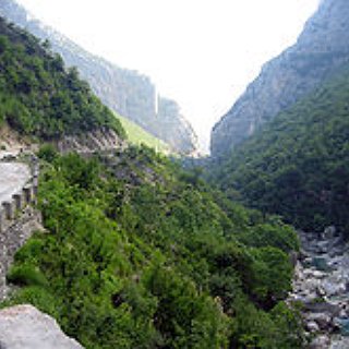 BucketList + Buy Land And Plant A Forest