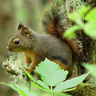 BucketList + Open A Wildlife Hospital