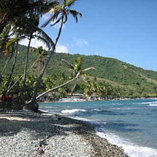 BucketList + Zip Lining El Mostro Puerto Rico