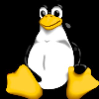BucketList + Pet A Penguin