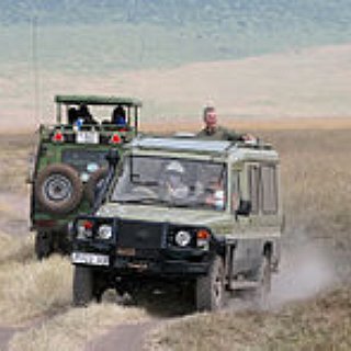 BucketList + Go On A Safari Drive In Africa