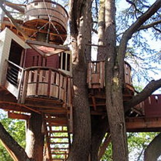 BucketList + Spend The Night In A Tree House