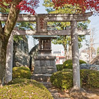 BucketList + Go To Japan To See The Cherry Blossom And The Shinto Shrines   