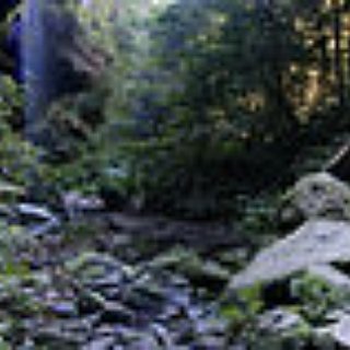 BucketList + Backpack In The Rainforests