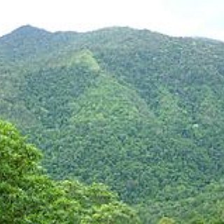 BucketList + Go Hiking In The Rainforest.