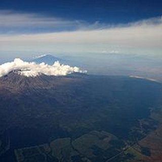 BucketList + Go On Safari In Kilamanjaro National Park